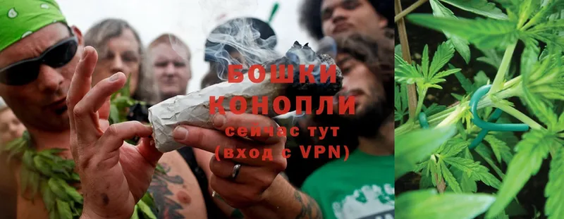 купить   Спасск-Рязанский  Бошки марихуана Ganja 